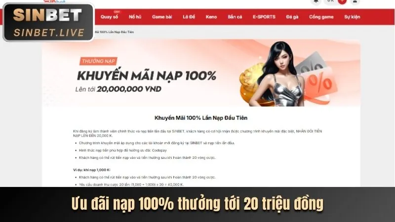 Chương trình VIP và quà tặng đẳng cấp